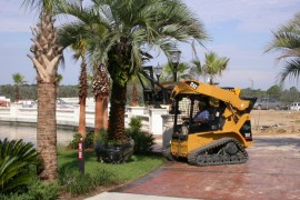 Small Seasonal Differences and the Effect on Landscape Maintenance in Palm Beach