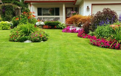 5 Things to Consider When Choosing a Landscape Contractor in Plymouth, MN